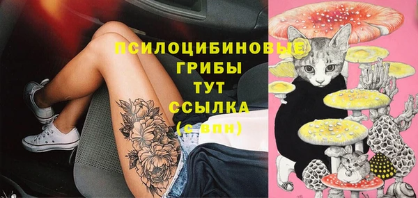 не бодяженный Армянск