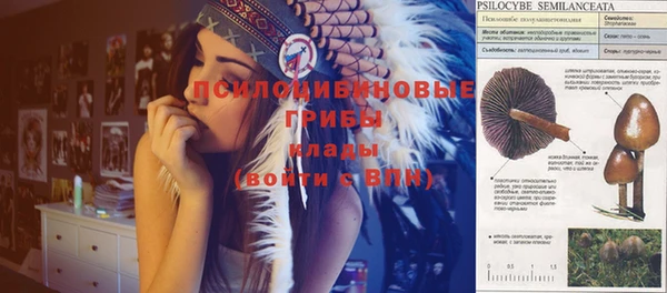 не бодяженный Армянск