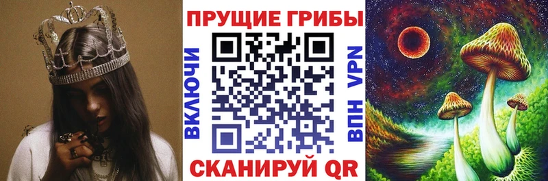 купить наркотики цена Таруса Галлюциногенные грибы MAGIC MUSHROOMS